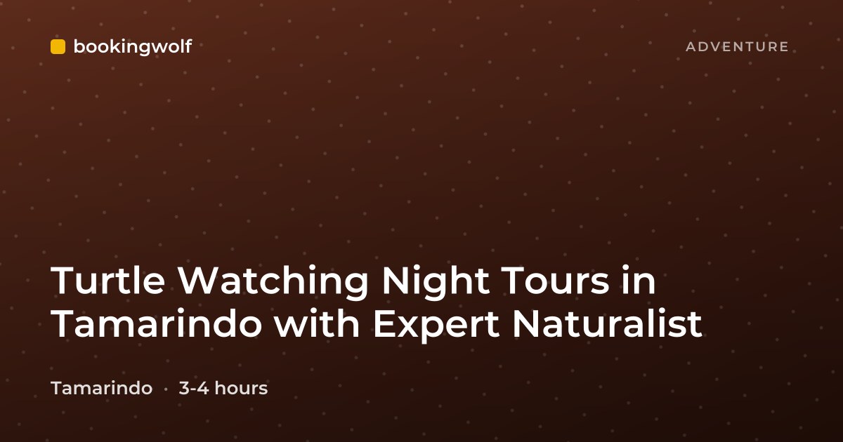 Turtle Watching Night Tours in Tamarindo with Expert Naturalist