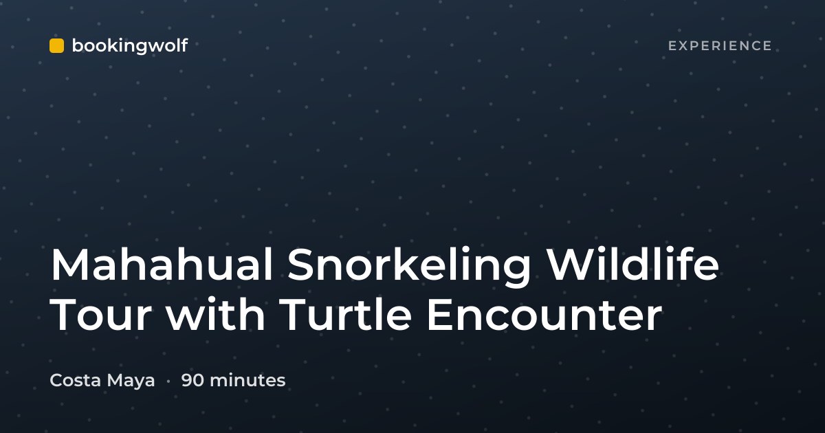 Mahahual Snorkeling Wildlife Tour with Turtle Encounter