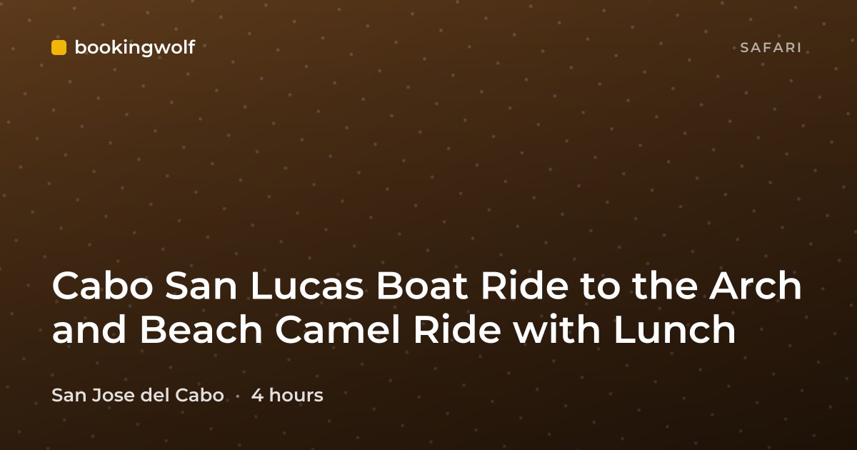 Cabo San Lucas Boat Ride to the Arch and Beach Camel Ride with Lunch
