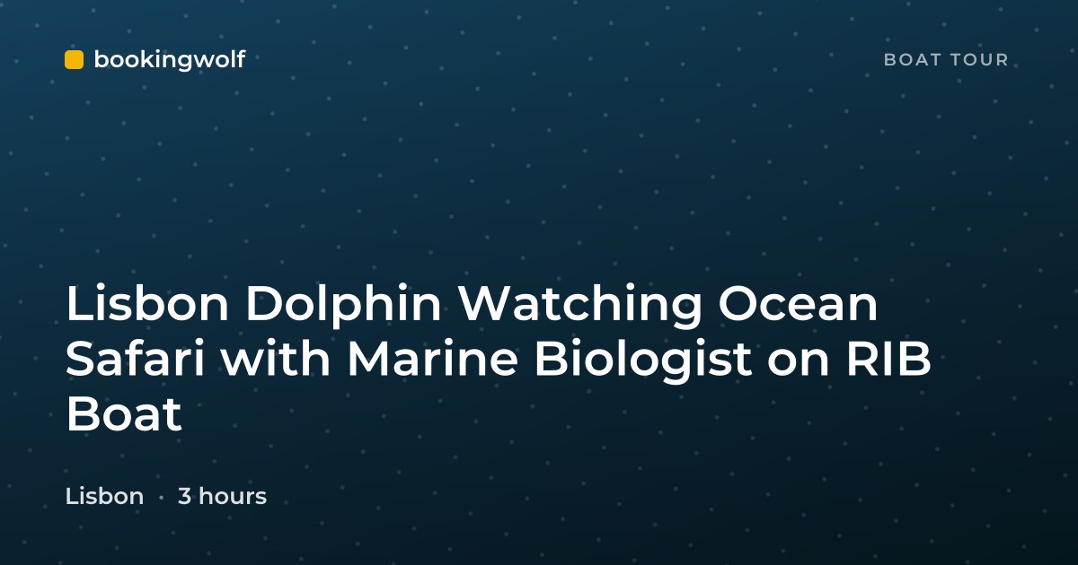 Lisbon Dolphin Watching Ocean Safari with Marine Biologist on RIB Boat