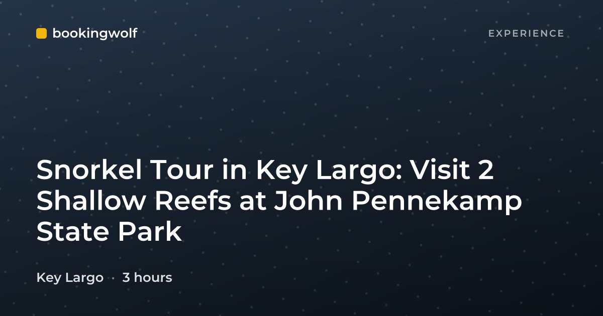 Snorkel Tour in Key Largo: Visit 2 Shallow Reefs at John Pennekamp State Park