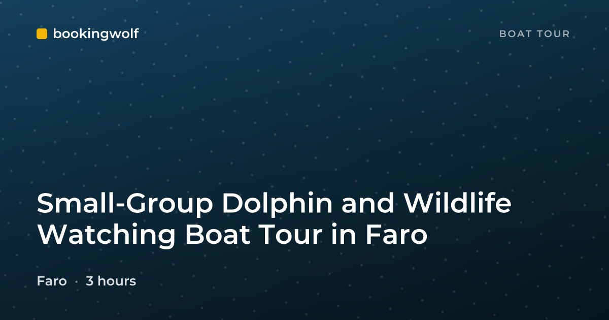 Small-Group Dolphin and Wildlife Watching Boat Tour in Faro