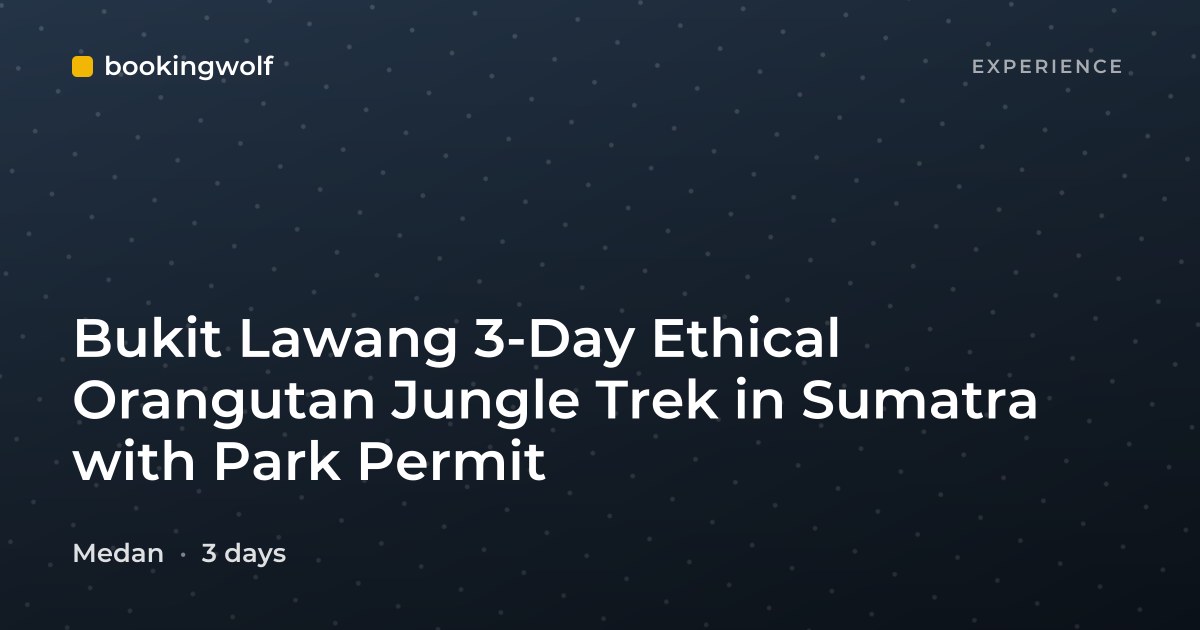 Bukit Lawang 3-Day Ethical Orangutan Jungle Trek in Sumatra with Park Permit