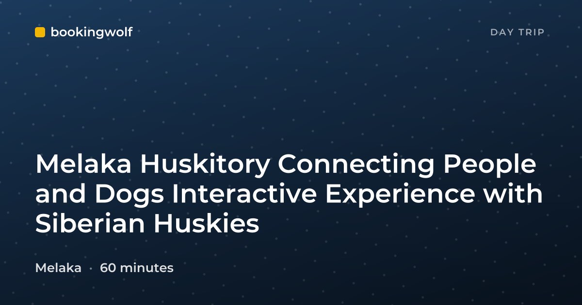 Melaka Huskitory Connecting People and Dogs Interactive Experience with Siberian Huskies