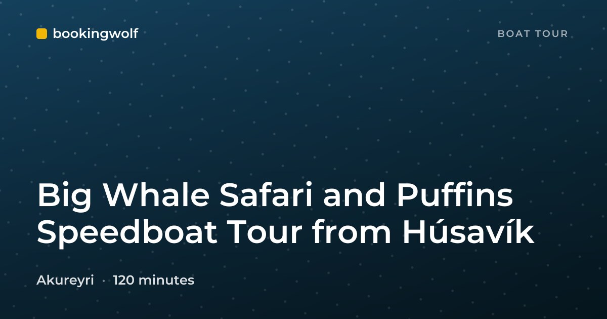 Big Whale Safari and Puffins Speedboat Tour from Húsavík