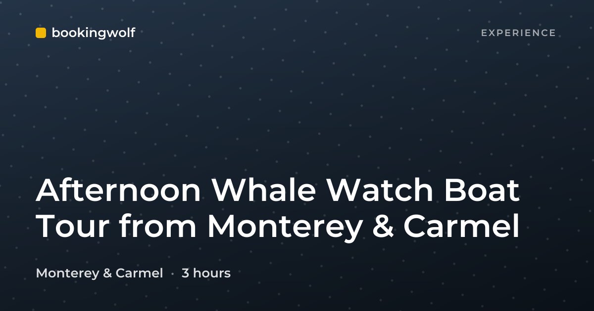 Afternoon Whale Watch Boat Tour from Monterey & Carmel