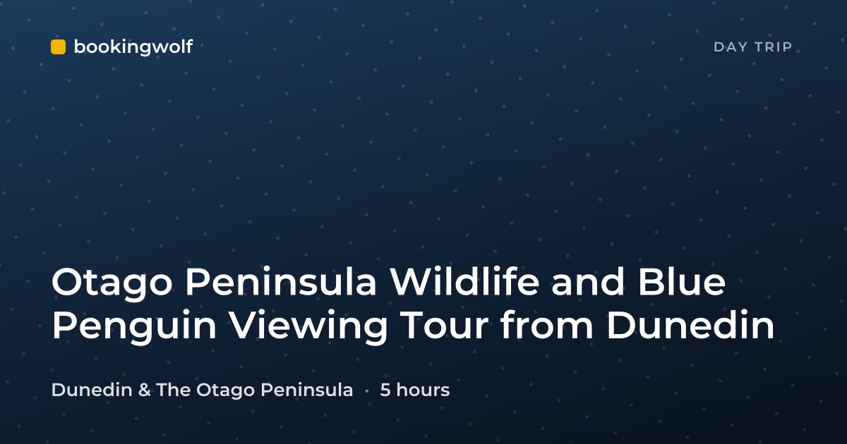 Otago Peninsula Wildlife and Blue Penguin Viewing Tour from Dunedin