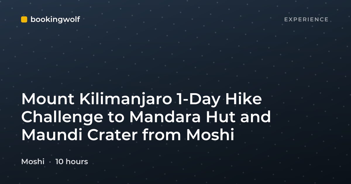 Mount Kilimanjaro 1-Day Hike Challenge to Mandara Hut and Maundi Crater from Moshi