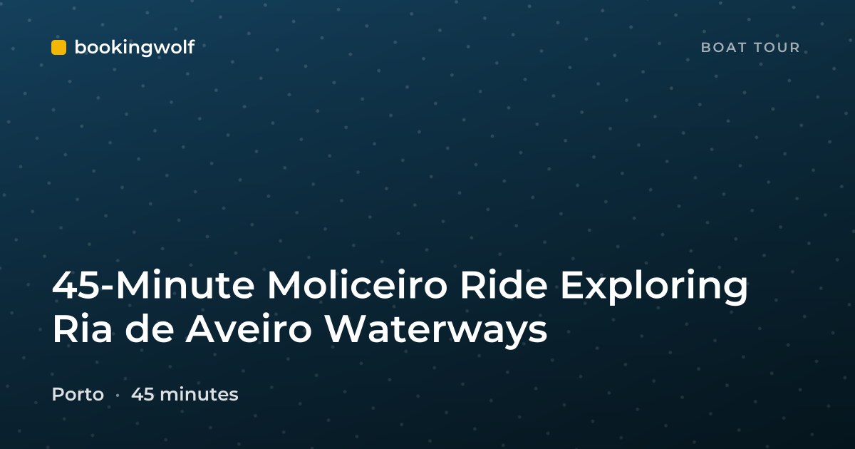 45-Minute Moliceiro Ride Exploring Ria de Aveiro Waterways