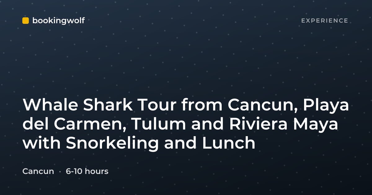 Whale Shark Tour from Cancun, Playa del Carmen, Tulum and Riviera Maya with Snorkeling and Lunch