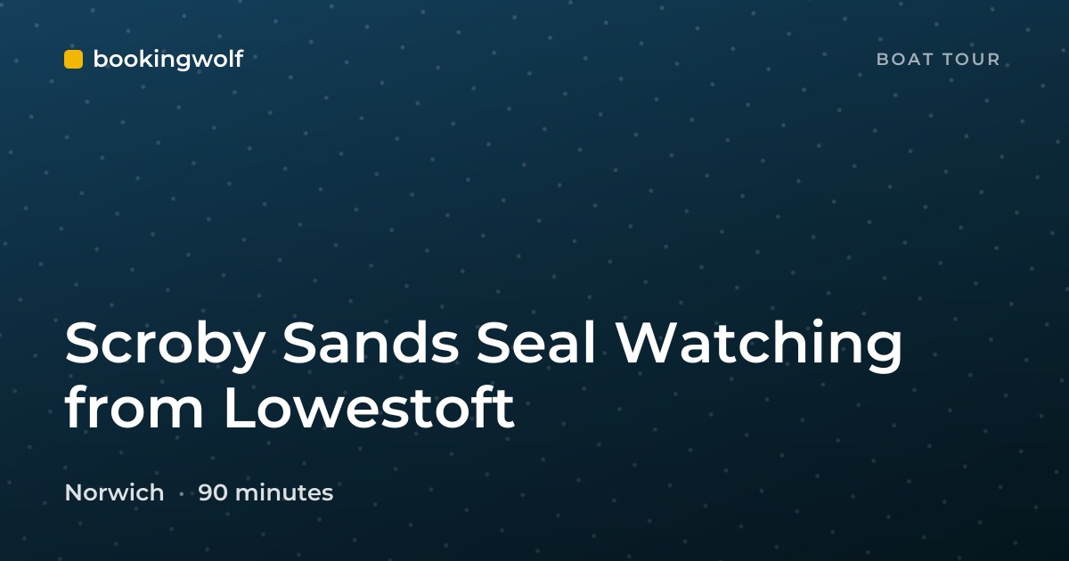 Scroby Sands Seal Watching from Lowestoft