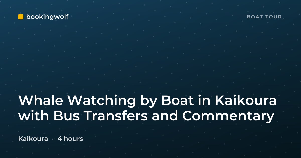 Whale Watching by Boat in Kaikoura with Bus Transfers and Commentary