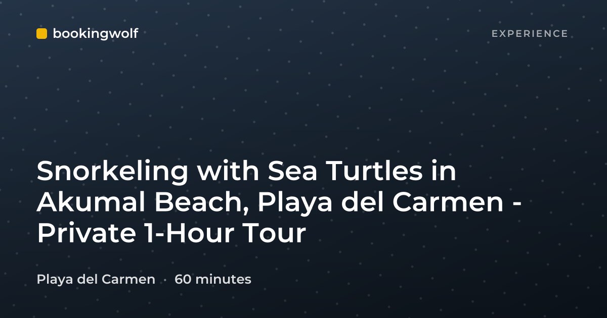 Snorkeling with Sea Turtles in Akumal Beach, Playa del Carmen - Private 1-Hour Tour