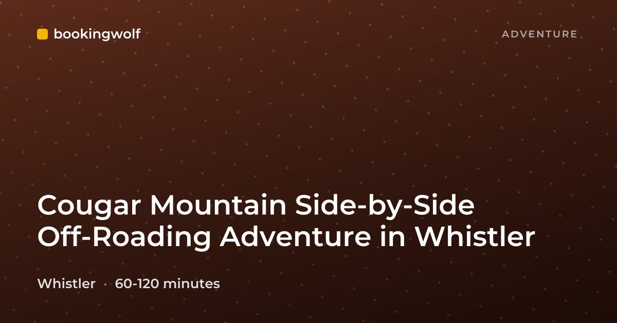 Cougar Mountain Side-by-Side Off-Roading Adventure in Whistler