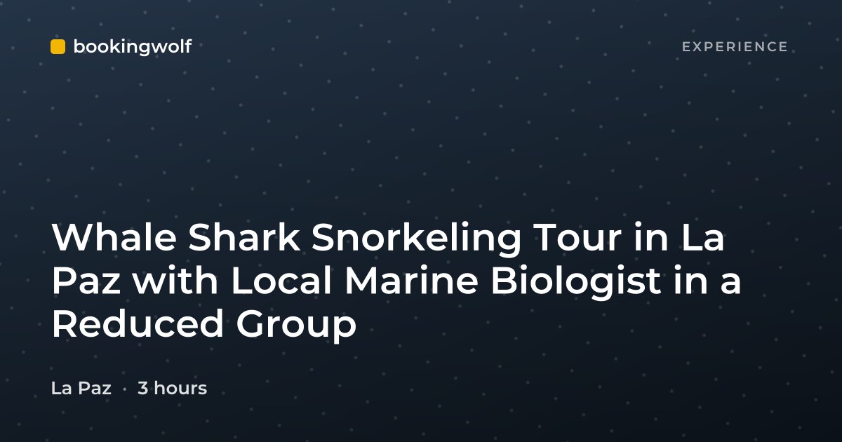 Whale Shark Snorkeling Tour in La Paz with Local Marine Biologist in a Reduced Group