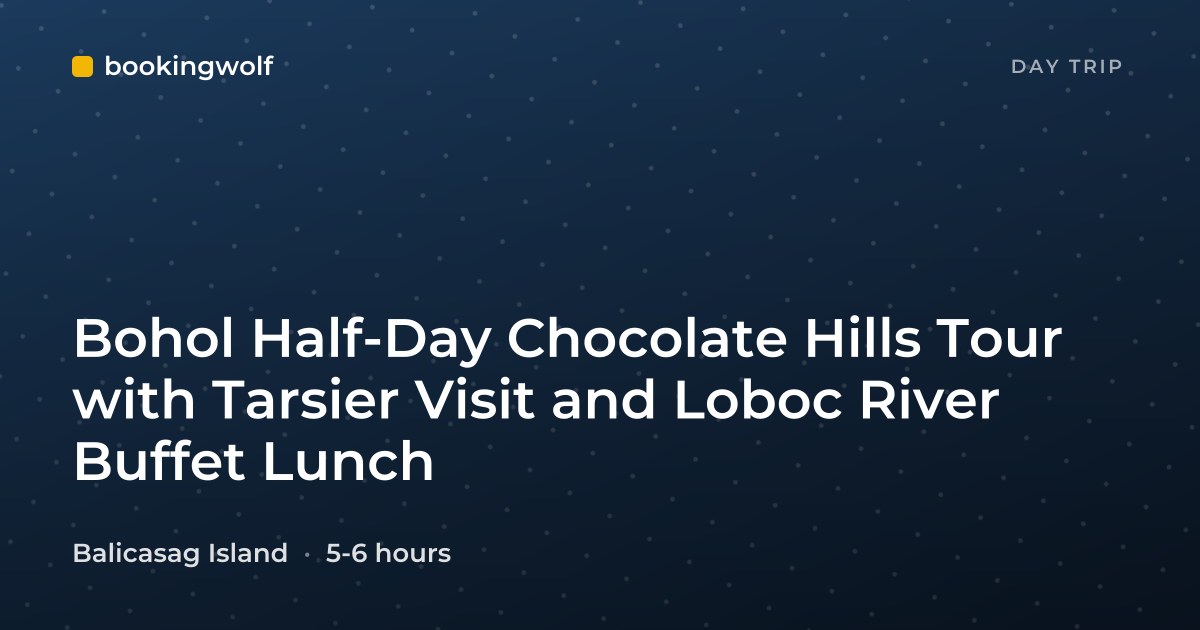 Bohol Half-Day Chocolate Hills Tour with Tarsier Visit and Loboc River Buffet Lunch