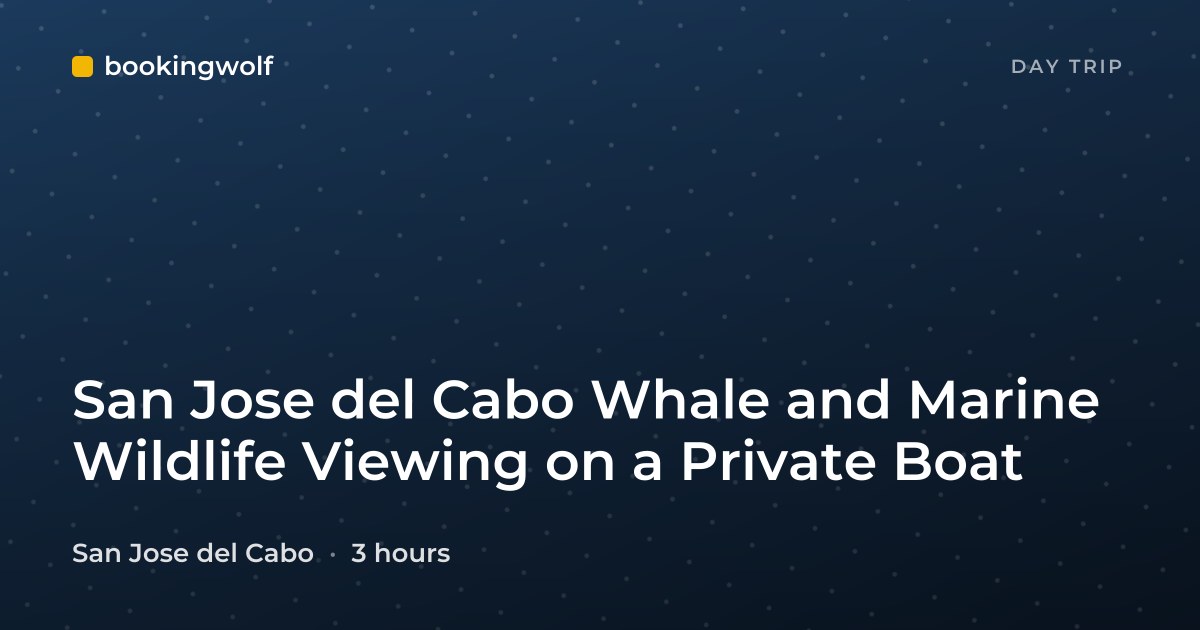 San Jose del Cabo Whale and Marine Wildlife Viewing on a Private Boat