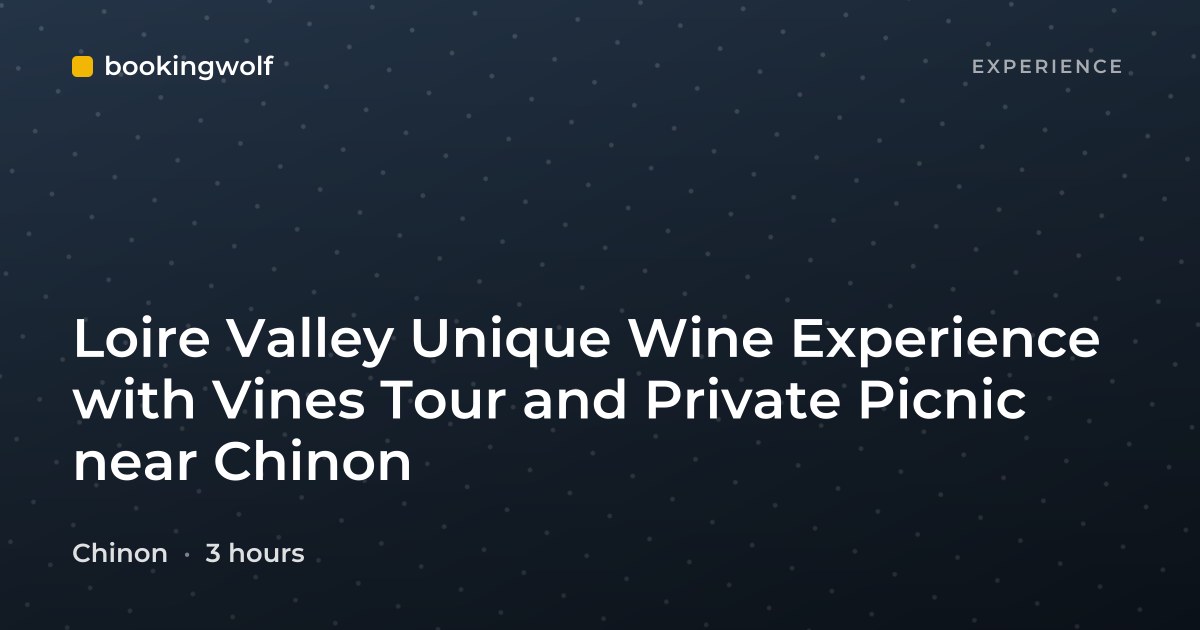 Loire Valley Unique Wine Experience with Vines Tour and Private Picnic near Chinon
