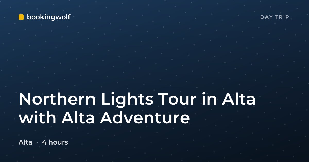 Northern Lights Tour in Alta with Alta Adventure