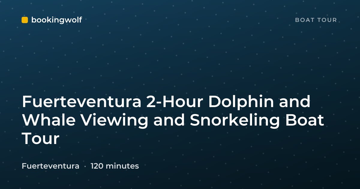 Fuerteventura 2-Hour Dolphin and Whale Viewing and Snorkeling Boat Tour