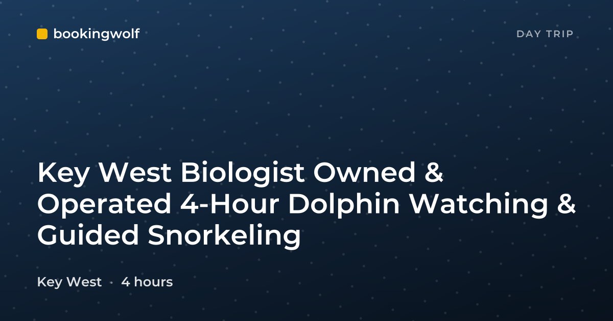 Key West Biologist Owned & Operated 4-Hour Dolphin Watching & Guided Snorkeling