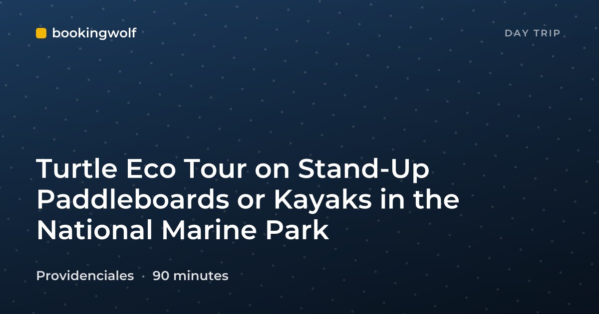 Turtle Eco Tour on Stand-Up Paddleboards or Kayaks in the National Marine Park