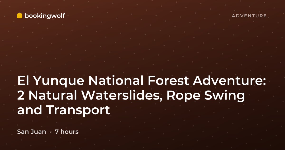 El Yunque National Forest Adventure: 2 Natural Waterslides, Rope Swing and Transport