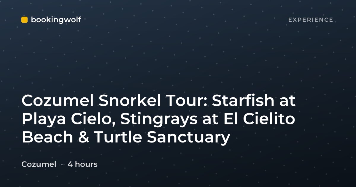 Cozumel Snorkel Tour: Starfish at Playa Cielo, Stingrays at El Cielito Beach & Turtle Sanctuary
