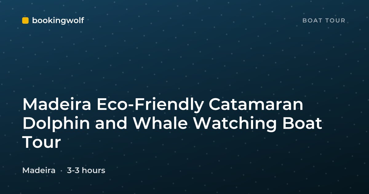 Madeira Eco-Friendly Catamaran Dolphin and Whale Watching Boat Tour