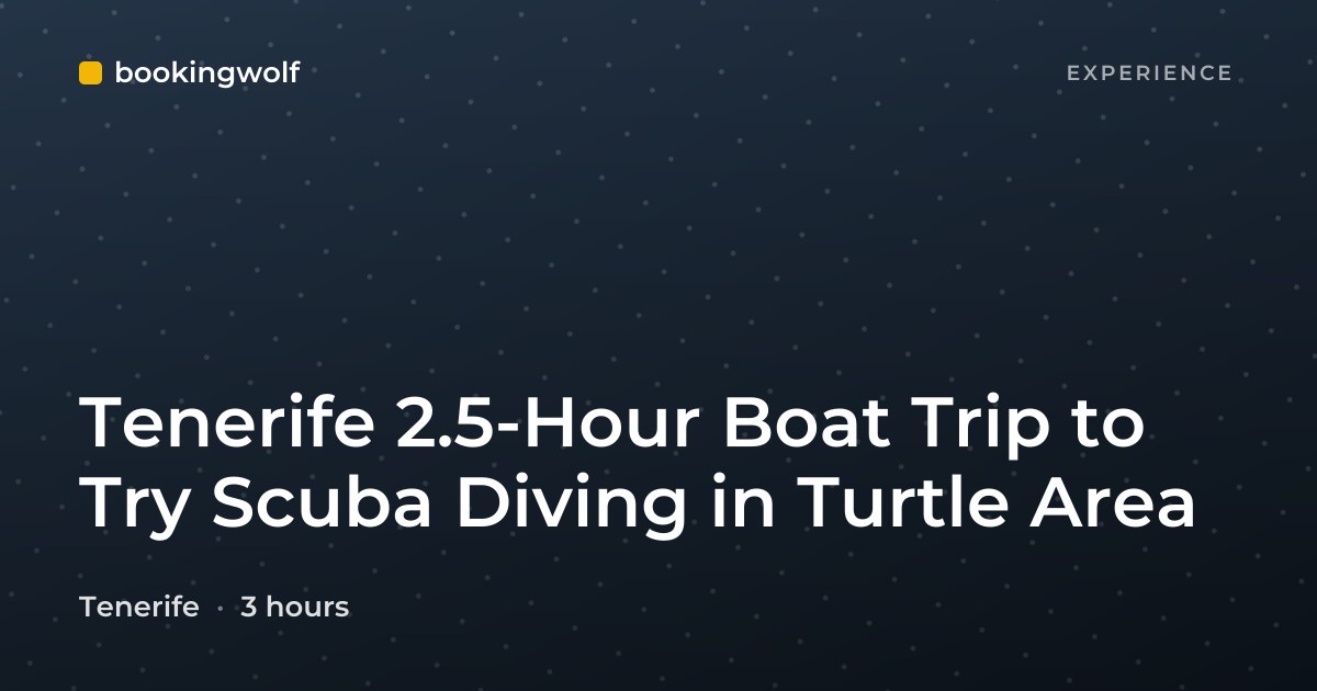 Tenerife 2.5-Hour Boat Trip to Try Scuba Diving in Turtle Area