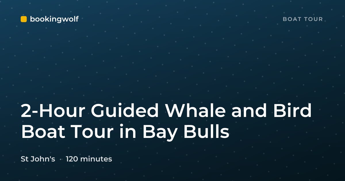 2-Hour Guided Whale and Bird Boat Tour in Bay Bulls
