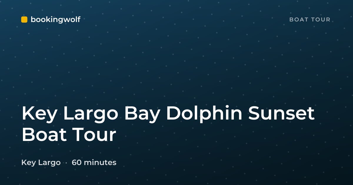 Key Largo Bay Dolphin Sunset Boat Tour