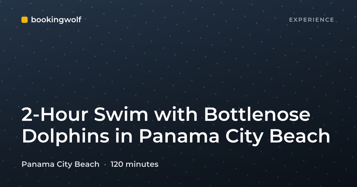 2-Hour Swim with Bottlenose Dolphins in Panama City Beach