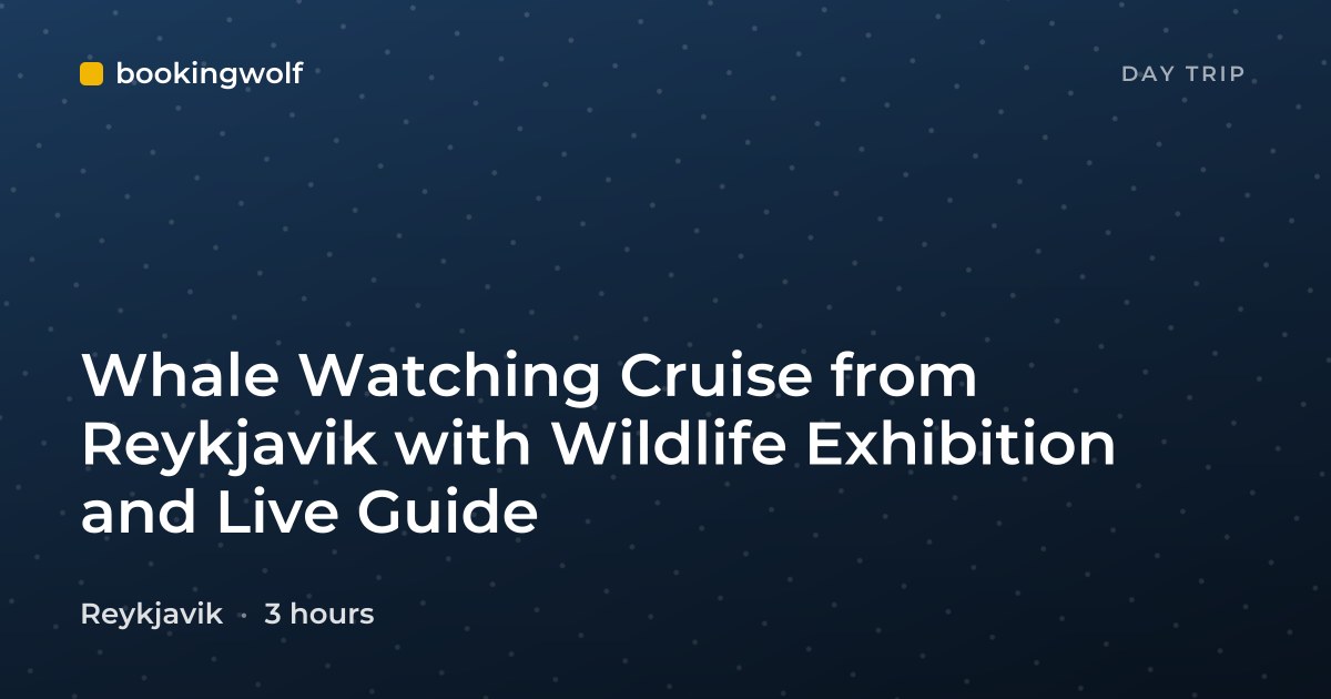 Whale Watching Cruise from Reykjavik with Wildlife Exhibition and Live Guide
