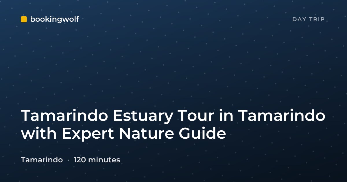 Tamarindo Estuary Tour in Tamarindo with Expert Nature Guide