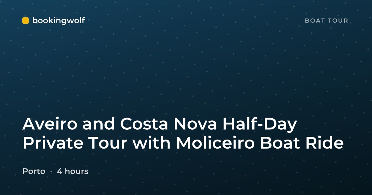 Aveiro and Costa Nova Half-Day Private Tour with Moliceiro Boat Ride