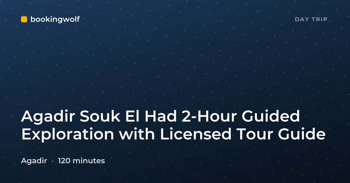 Agadir Souk El Had 2-Hour Guided Exploration with Licensed Tour Guide