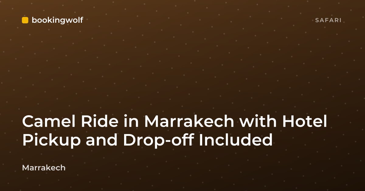Camel Ride in Marrakech with Hotel Pickup and Drop-off Included