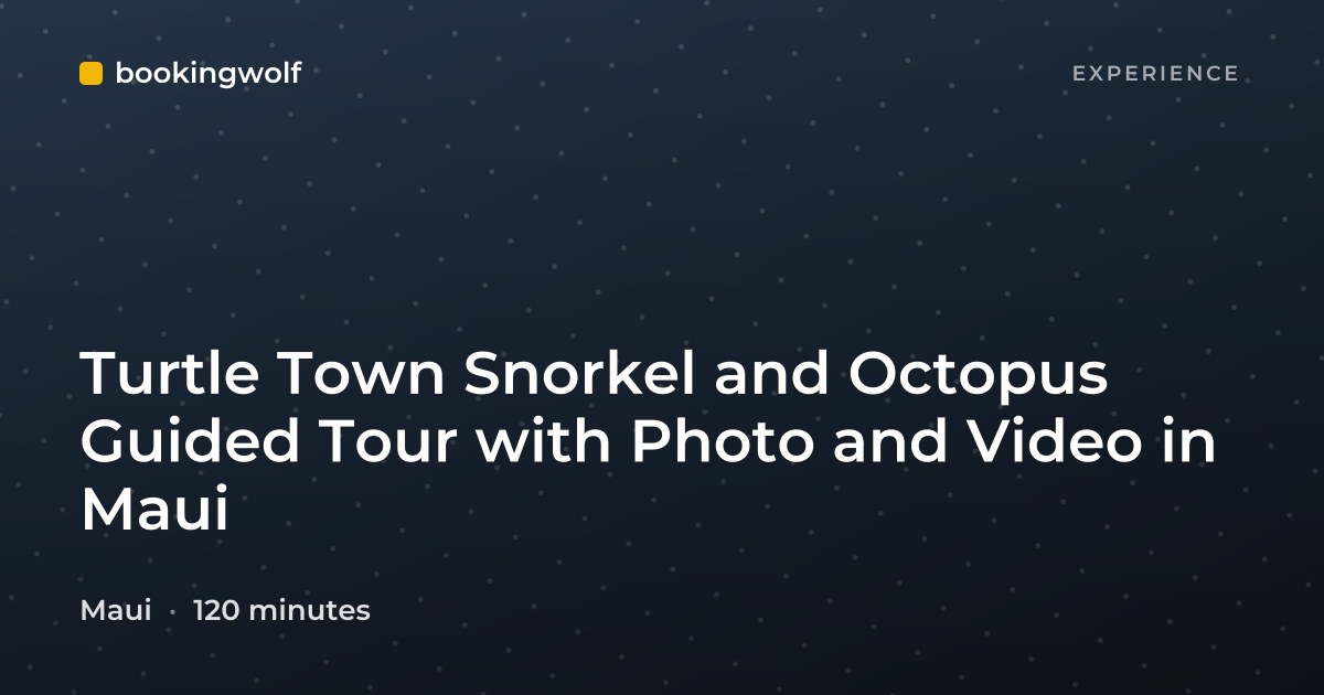 Turtle Town Snorkel and Octopus Guided Tour with Photo and Video in Maui