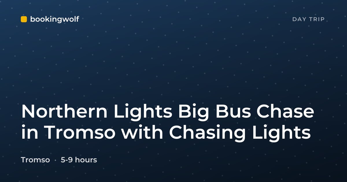 Northern Lights Big Bus Chase in Tromso with Chasing Lights