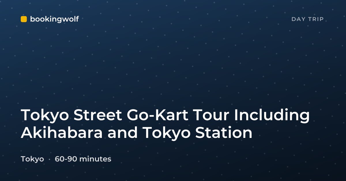 Tokyo Street Go-Kart Tour Including Akihabara and Tokyo Station