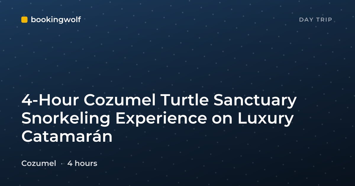 4-Hour Cozumel Turtle Sanctuary Snorkeling Experience on Luxury Catamarán