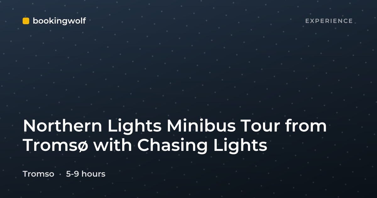 Northern Lights Minibus Tour from Tromsø with Chasing Lights