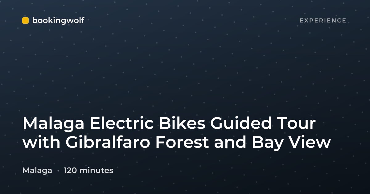 Malaga Electric Bikes Guided Tour with Gibralfaro Forest and Bay View