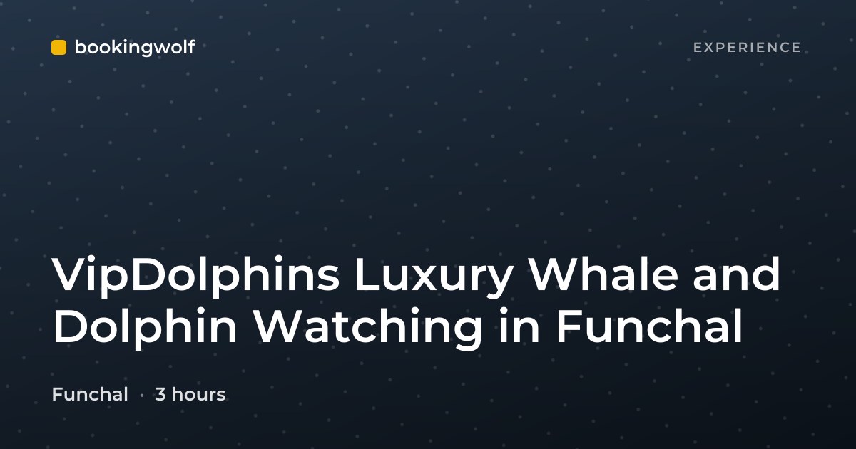 VipDolphins Luxury Whale and Dolphin Watching in Funchal