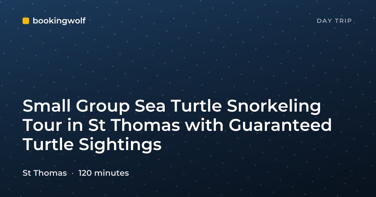 Small Group Sea Turtle Snorkeling Tour in St Thomas with Guaranteed Turtle Sightings