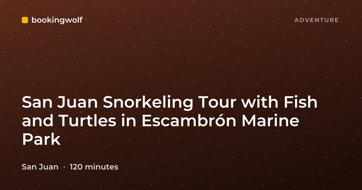 San Juan Snorkeling Tour with Fish and Turtles in Escambrón Marine Park