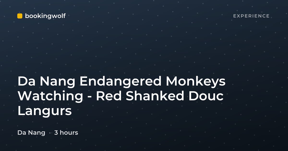 Da Nang Endangered Monkeys Watching - Red Shanked Douc Langurs