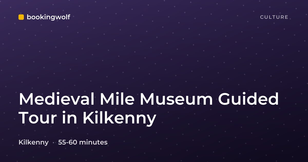 Medieval Mile Museum Guided Tour in Kilkenny
