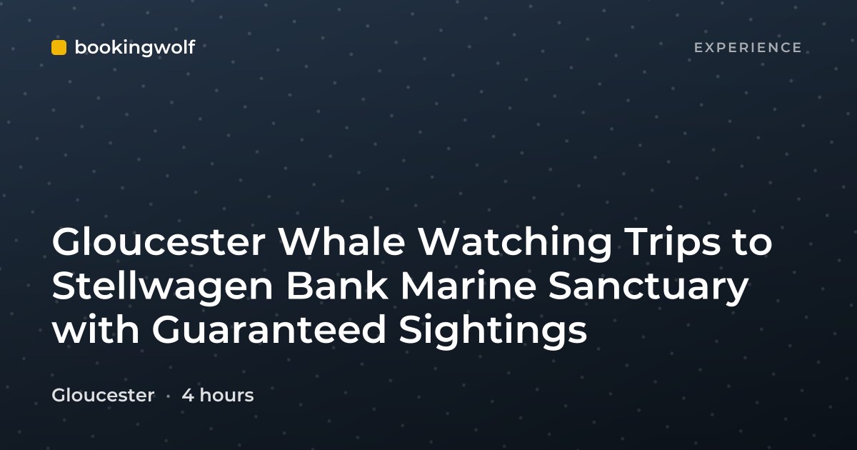Gloucester Whale Watching Trips to Stellwagen Bank Marine Sanctuary with Guaranteed Sightings